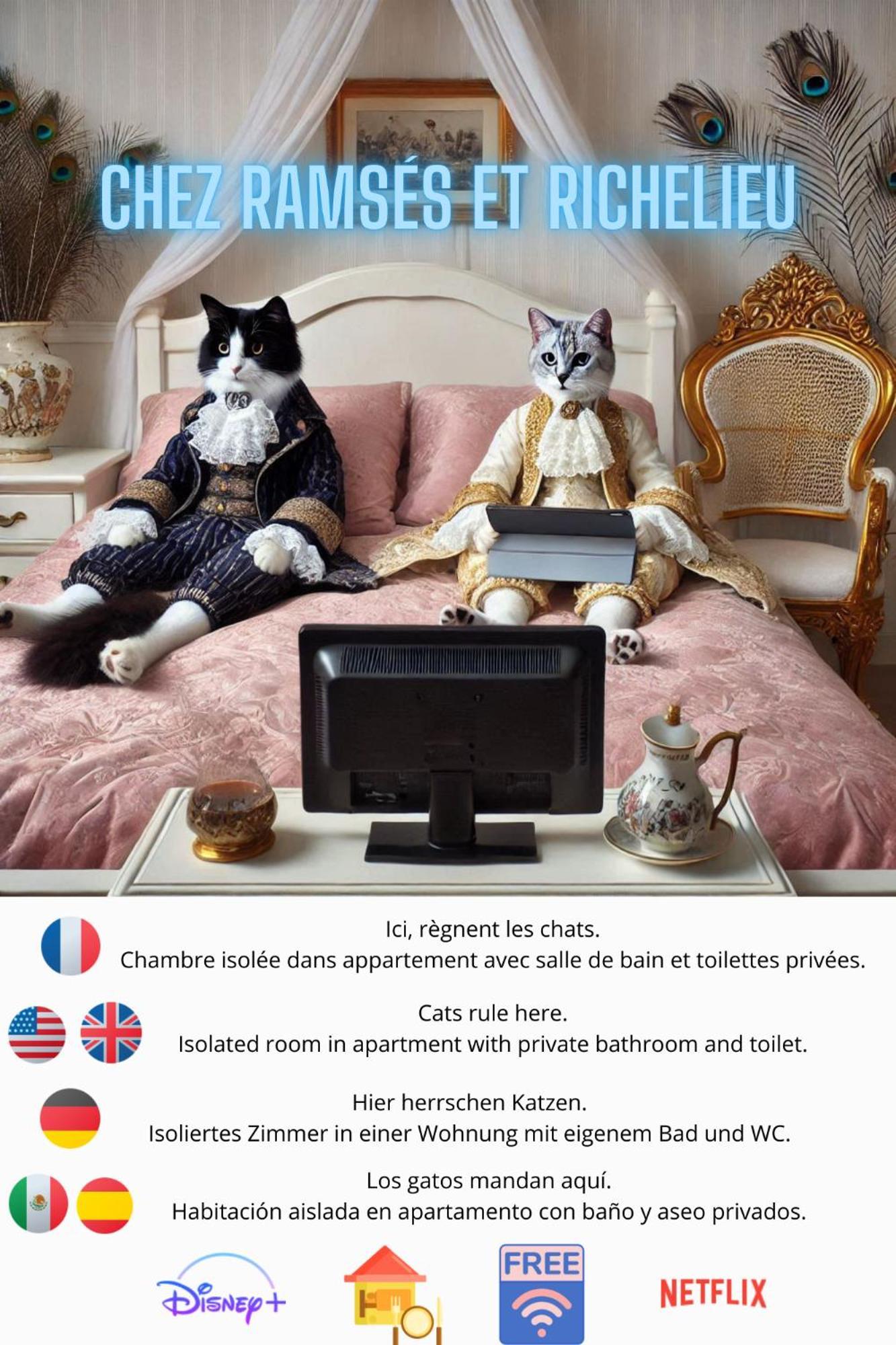 Bed and Breakfast Chez Ramses Et Richelieu Pau Exterior foto
